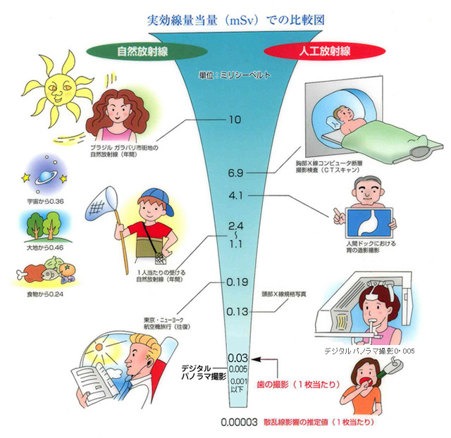 実効線量当量(mSv)での比較図のイメージ